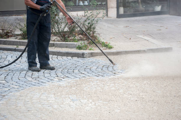 Animal Enclosure Cleaning in Park City, TN